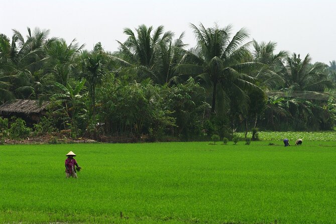 Adventure Cu Chi Tunnels and Mekong Delta Tour From HCM - My Tho by boat: Four Animal Islands and river life
