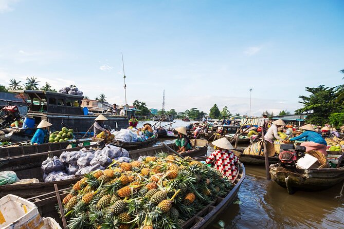 Cai Rang Floating Market & Mekong Delta 2-Day Tour from HCM City - Key Things That Make This Tour Worth a Look