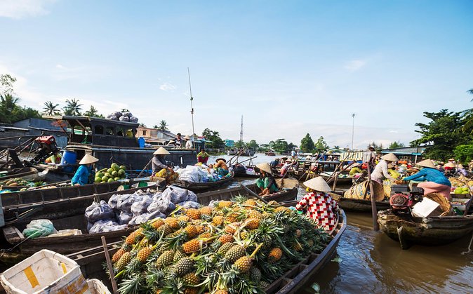 Cai Rang Floating Market & Mekong Delta Private 1-Day Tour - Why the 5:00am start is worth it in Cai Rang