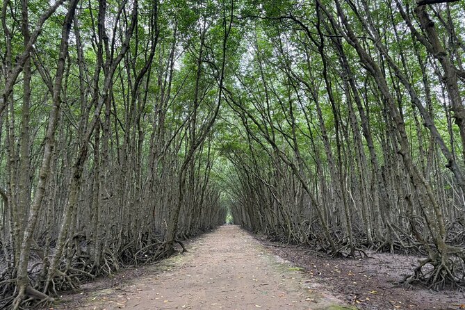 Can Gio Mangrove Adventure: Speedboat with Monkey Island - How the Vietnam War Stops Fit With City Sights in HCMC