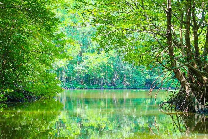 Can Gio Mangrove Forest 1 day tour - Quick hits before you go