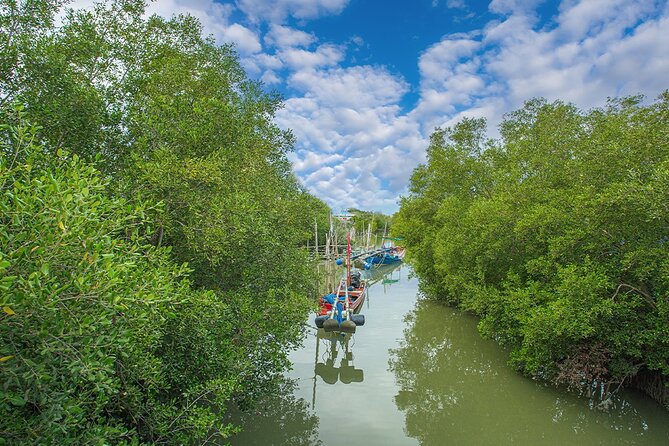 Can Gio Mangrove Forest 1 day tour - Getting to Can Gio: early pickup and the ride out of District 1