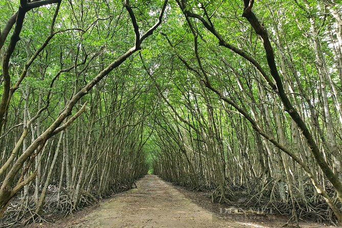 Can Gio Mangrove Forest 1 day tour - Price and value: is $55 really a fair deal?