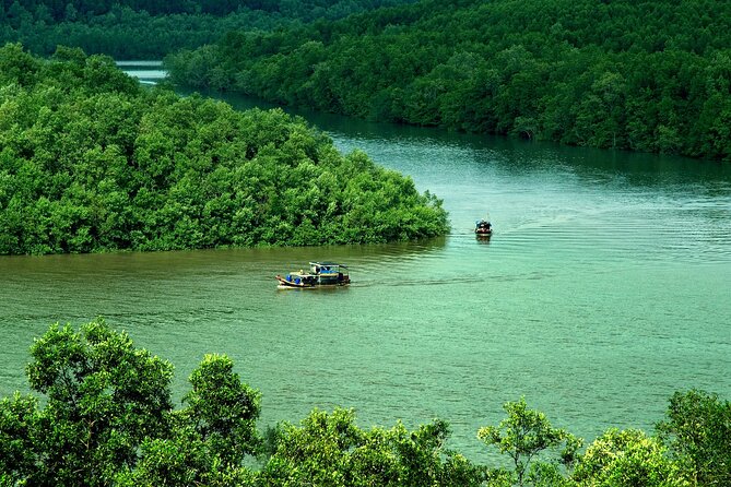 Can Gio Mangrove Forest 1 day tour - Crocodile farm and mangrove wildlife: what you’ll actually spend time on