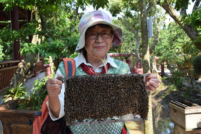 Cu Chi tunnel & Mekong Combined In One Day Tour Excursion - Why the Combination Works: Transport, Boats, and a Fixed Itinerary