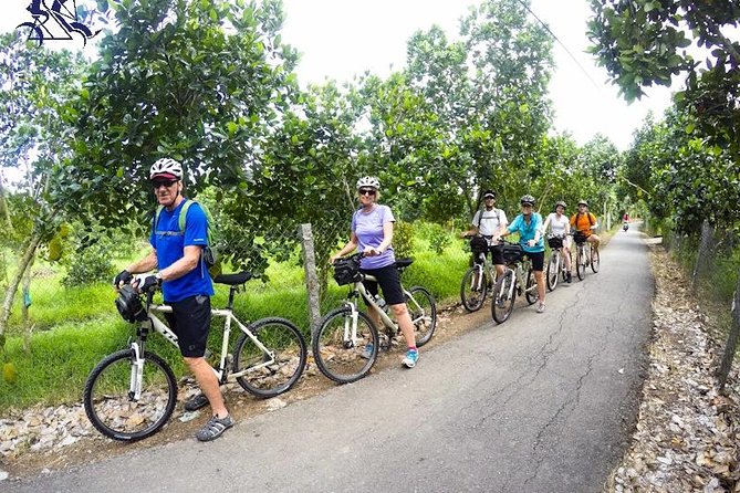 Cu Chi Tunnels - Cao Dai Temple & Black Virgin Mountain Full Day - Ba Den Mountain and the Black Virgin Cable Car View
