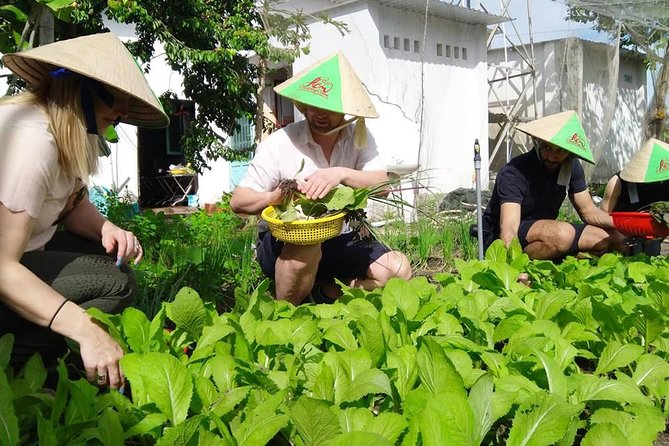 Explore Vietnamese Cuisine: Cooking Class from Ho Chi Minh City - Making sense of Vietnamese flavor balance (yin-yang style)