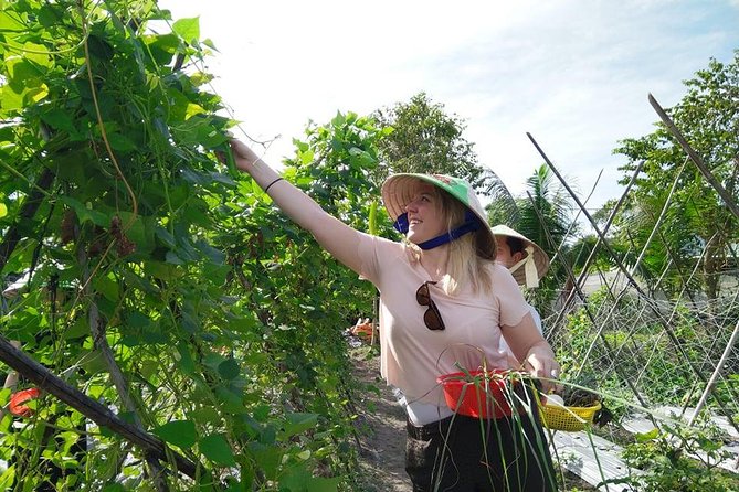 Explore Vietnamese Cuisine: Cooking Class from Ho Chi Minh City - What you get to take home: certificate and recipes