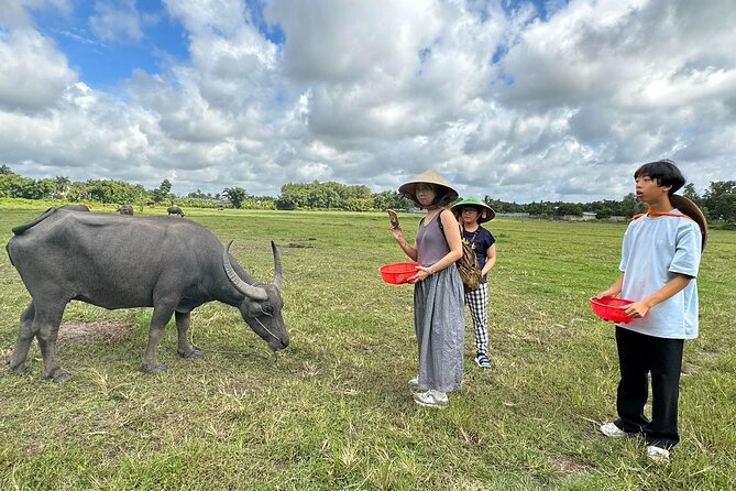 Exploring organic farm & Vietnamese Culinary with Master chef - Key things you’ll notice right away