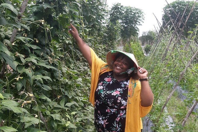 Exploring organic farm & Vietnamese Culinary with Master chef - Organic farm walk: what you learn before you cook