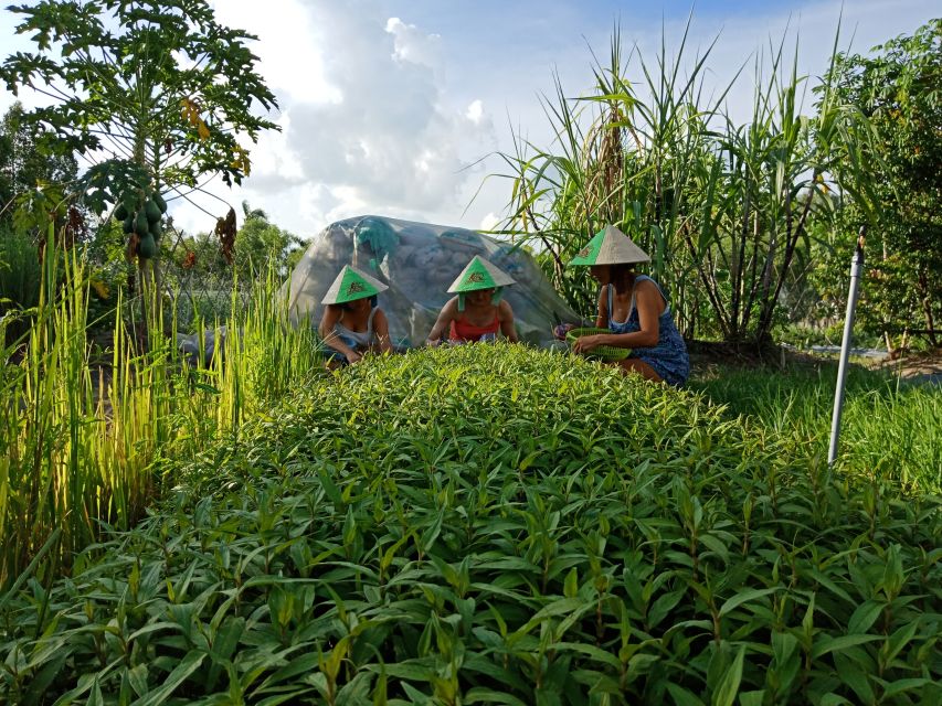 Farm-To-Table Healthy Cooking Class: Half-Day Tour - Key things you’ll love