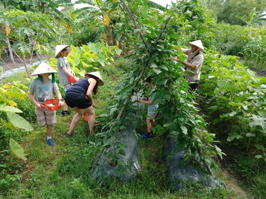 Farm-To-Table Healthy Cooking Class: Half-Day Tour - What you eat: lunch, iced tea, and the satisfaction factor