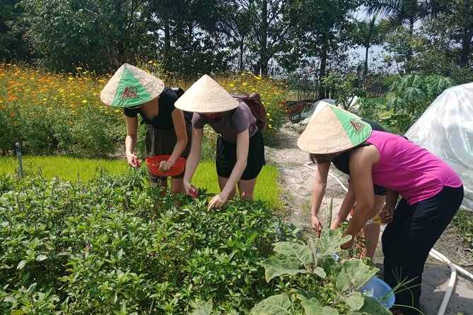 Farm-To-Table Healthy Cooking Class in Ho Chi Minh City - Open-air pre-cook calm: fruit, hammock time, and switching gears