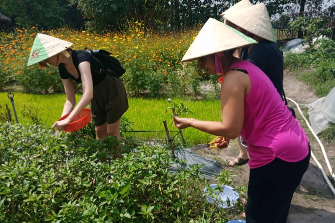Farm-To-Table Healthy Cooking Class in Ho Chi Minh City - What you’ll eat: lunch, tasting, and the point of “healthy”