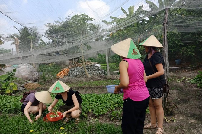 Farm-To-Table Healthy Cooking Class in Ho Chi Minh City - Logistics that matter: timing, tickets, and what to plan for