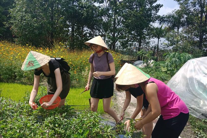 Farm-To-Table Healthy Cooking Class in Ho Chi Minh City - Who should book this class (and who might skip it)