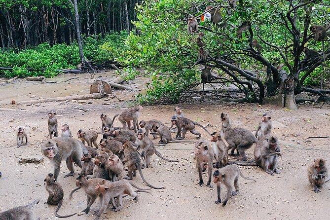 From Ho Chi Minh: Can Gio Trek – Monkey Island & Crocodile Farm - The mangrove boat ride and optional speedboat: choose your comfort level