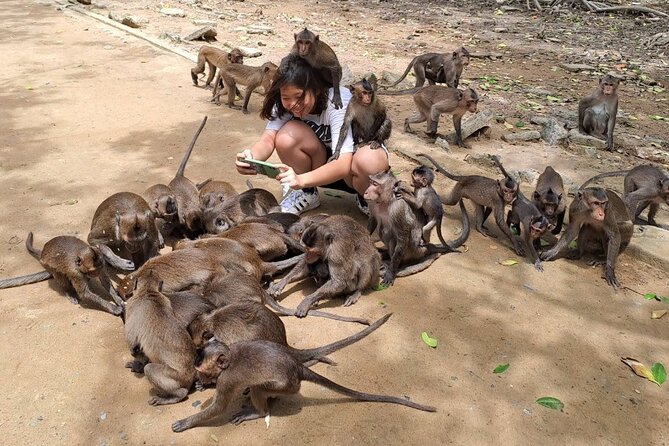 From Ho Chi Minh: Can Gio Trek – Monkey Island & Crocodile Farm - Cần Giờ seafood market and lunch: where the day turns tasty