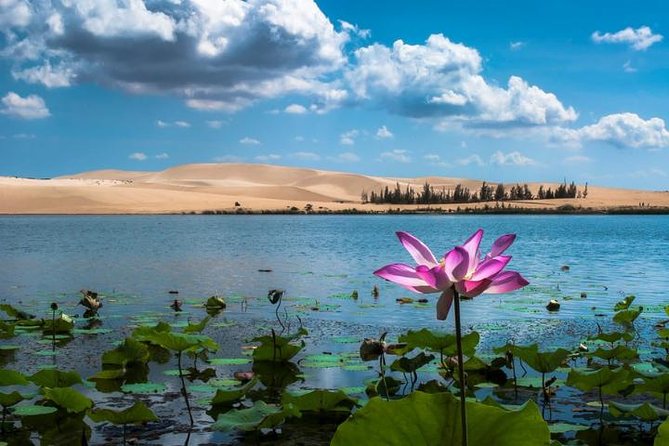 From Ho Chi Minh To Mui Ne Best Day Trip | Sunset Tour - From Ho Chi Minh to Mũi Né: why the sleeper bus is the real foundation