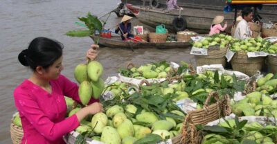 HCMC: Cai Rang Floating Market & Mekong Delta Private Tour - Cruising Cai Rang Floating Market from the water