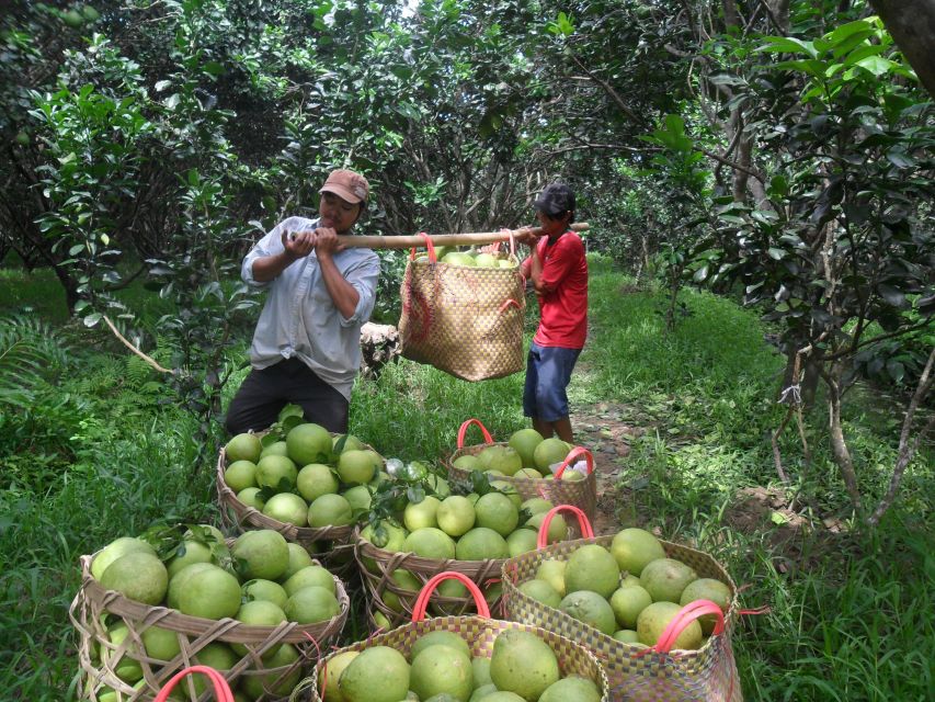 HCMC: Cai Rang Floating Market & Mekong Delta Private Tour - Bee farm stop, honey tea, and traditional music on the islands