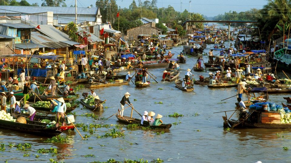 HCMC: Cai Rang Floating Market & Mekong Delta Private Tour - Who this Mekong Delta day trip fits best
