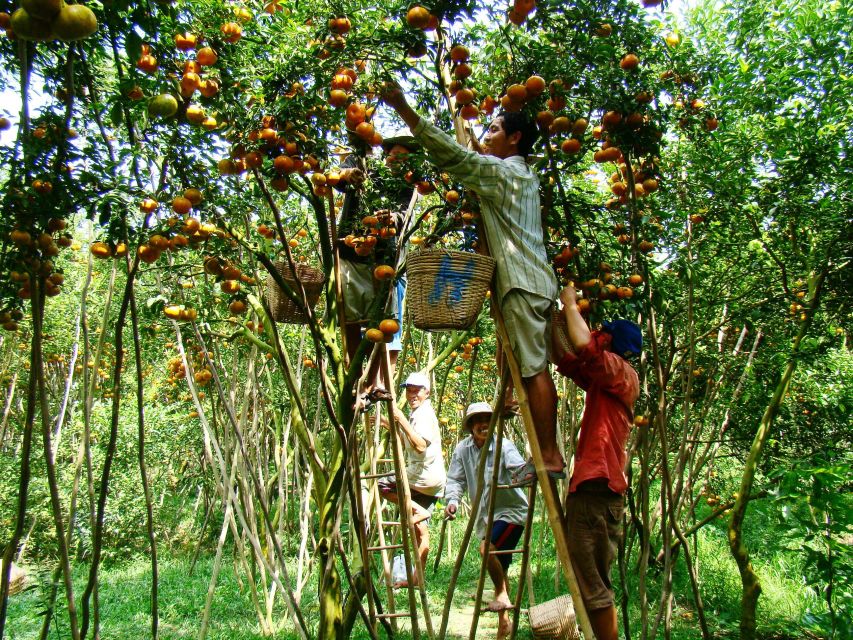 HCMC: Cai Rang Floating Market & Mekong Delta Private Tour - Should you book the HCMC: Cai Rang Floating Market & Mekong Delta Private Tour?