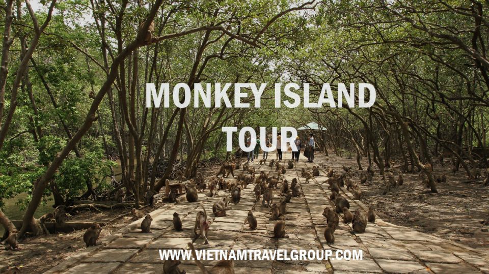 HCM:Can Gio Mangrove Forest Tour-Monkey Island - Key things to know before you go