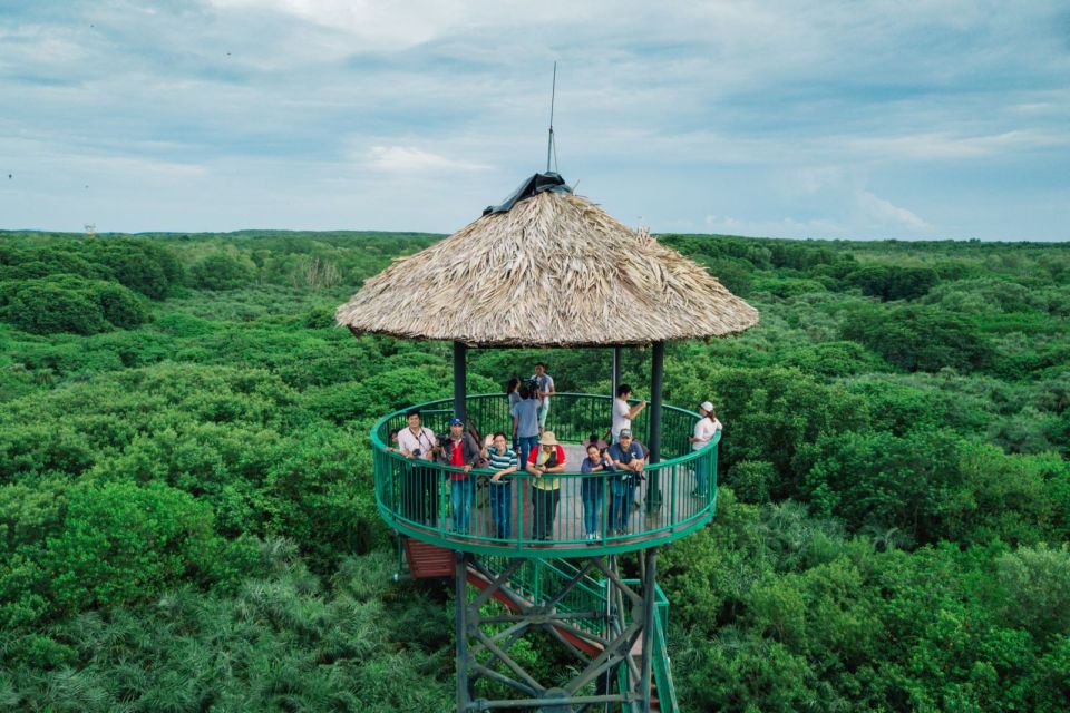 HCM:Can Gio Mangrove Forest Tour-Monkey Island - Entering Cần Giờ’s Monkey Island: macaques, mischief, and the real rules of the day