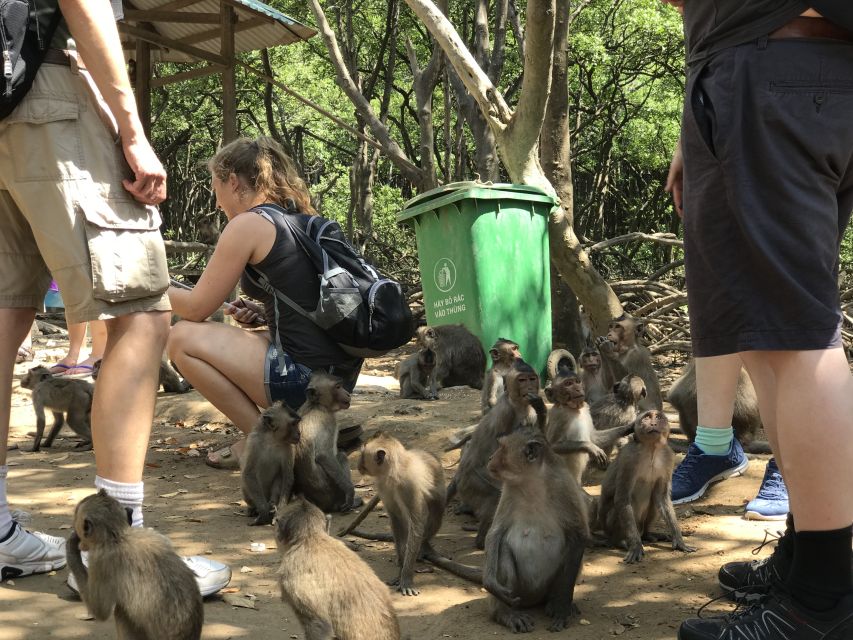 HCM:Can Gio Mangrove Forest Tour-Monkey Island - A Vietnam War guerrilla-base stop you can actually feel in context