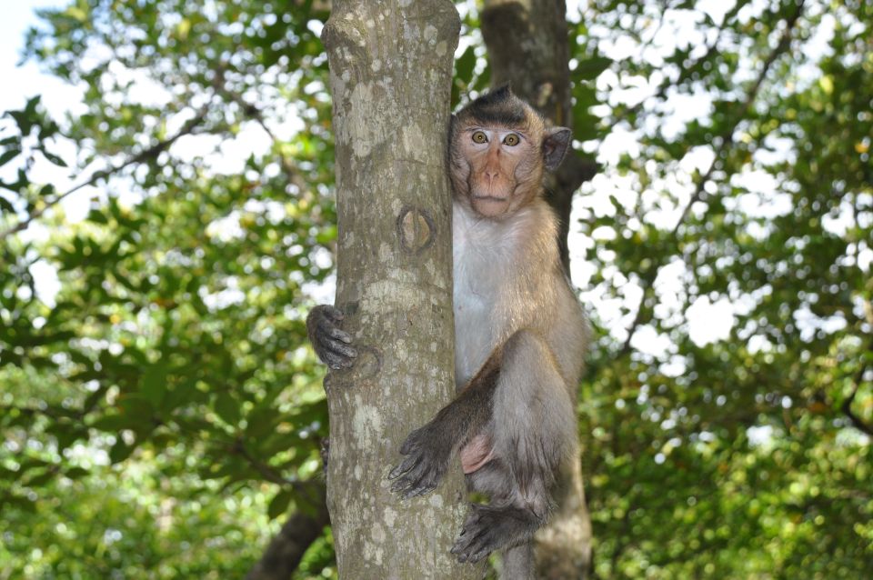 HCM:Can Gio Mangrove Forest Tour-Monkey Island - Logistics that affect your comfort: timing, footwear, and low-tide curveballs