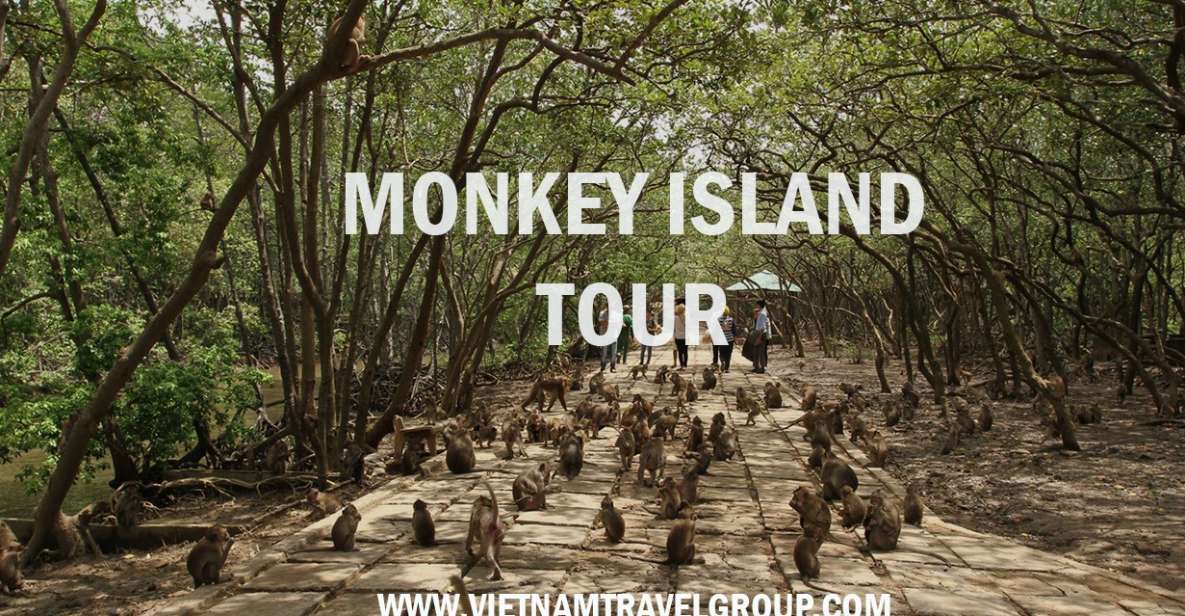 HCM:Can Gio Mangrove Forest Tour-Monkey Island - Crocodile Farm Stop: feeding sessions and a rare extra thrill