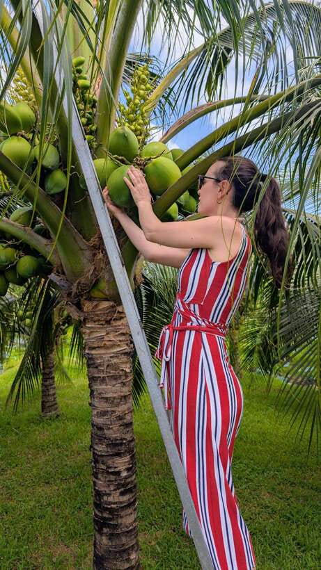 Ho Chi Minh: 1-Day Mekong Delta Tour-Floating Market & Islet - Cồn Sơn (Son islet): fish farm views and the koi foot massage