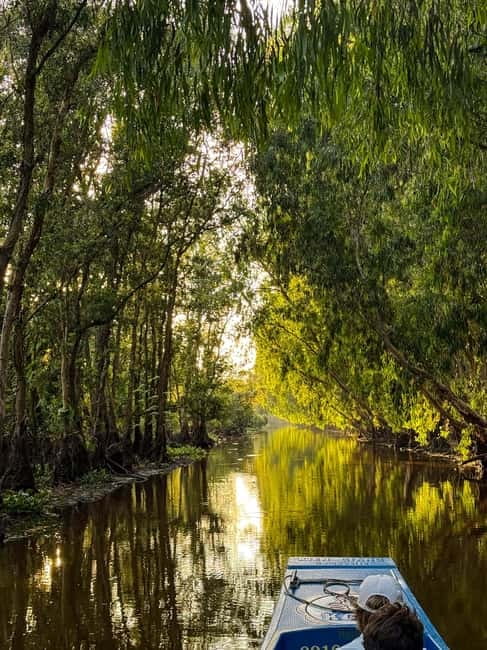 Ho Chi Minh: 3-Day Mekong Delta & Optional Exit to PhnomPenh - Tra Su Mangrove rowing in Chau Doc: the calm contrast