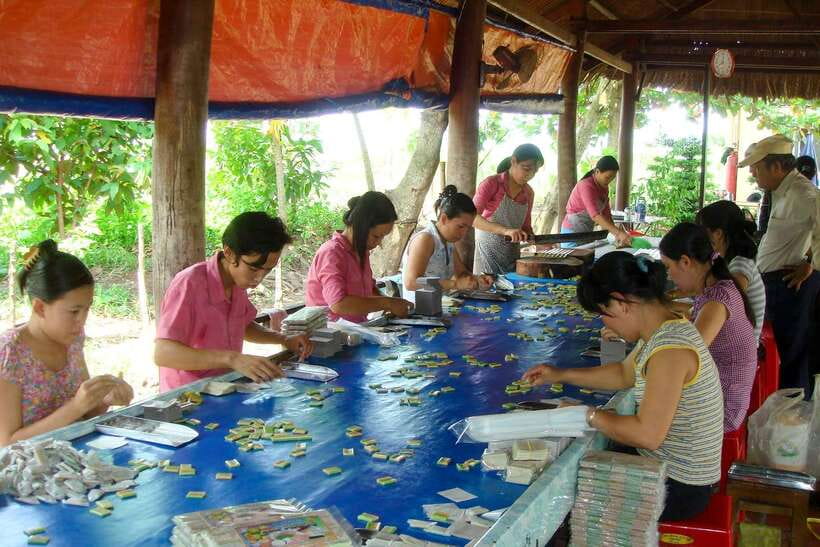 Ho Chi Minh: 3-Day Mekong Delta & Optional Exit to PhnomPenh - Hotels and meals: what you’re really paying for
