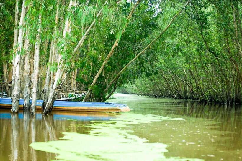 Ho Chi Minh: 3-Day Mekong Delta & Optional Exit to PhnomPenh - Price and value: is $261 a fair deal?
