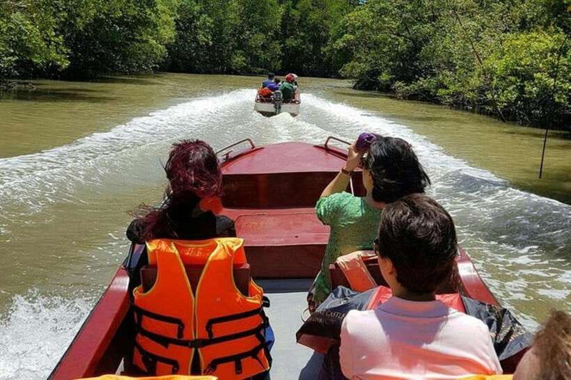 Ho Chi Minh: Can Gio Mangrove and Monkey Island - Can Gio in one day: monkeys, war stories, and a real seafood market