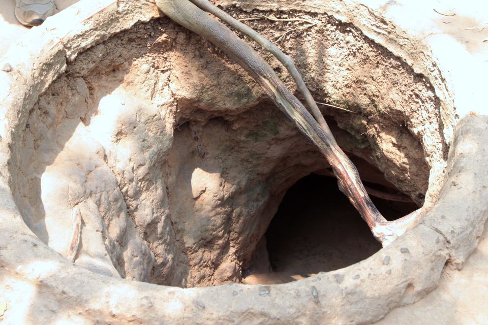 Ho Chi Minh City: Cu Chi Tunnels Morning or Afternoon Tour - Should you book the Cu Chi Tunnels tour from Ho Chi Minh City?
