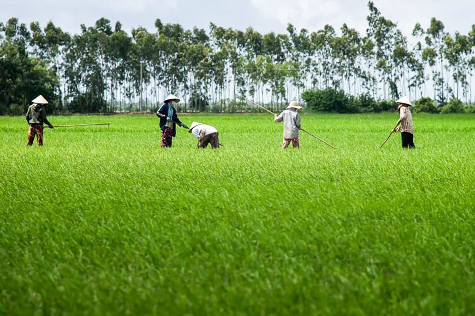 Ho Chi Minh City: Mekong Delta Full-Day Speedboat Tour - The homestead experience: coconuts, Mekong whisky, and real hospitality