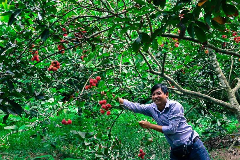 Ho Chi Minh City: Mekong Delta Tour with Sampan Journey - Who Should Book This Mekong Delta Tour—and Who Might Not Love It