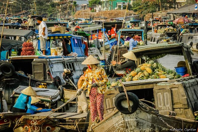 Incredible Mekong Delta Tour 3-day from Ho Chi Minh City - Day 1: My Tho First Look, Vinh Trang Pagoda, Then Cần Thơ