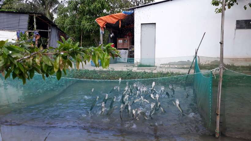 Mekong Day Tour by Car:Cai Be market, Local Island & Cycling - Heading back to Ho Chi Minh City: what the timing feels like