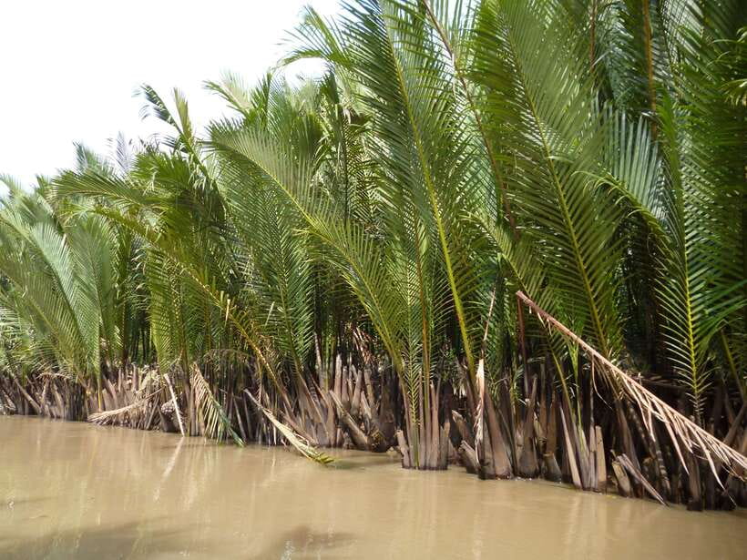 Mekong Day Tour by Car:Cai Be market, Local Island & Cycling - Honey bee farm and honey tea: a snack break with a point