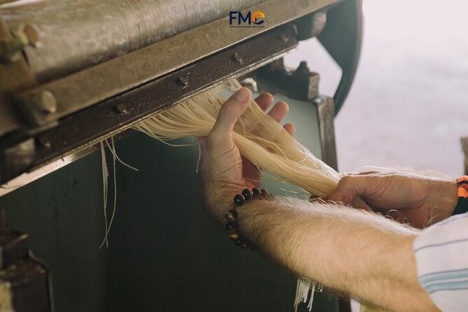 Mekong day tour Visit Cai Rang Floating Market pick up in Sai Gon - Phong Điền rice noodle house: colorful hands-on food