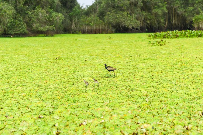Mekong Delta 3-Day: Saigon to Phnom Penh Gateway - The Mekong Delta to Phnom Penh Gateway: What You’re Really Getting