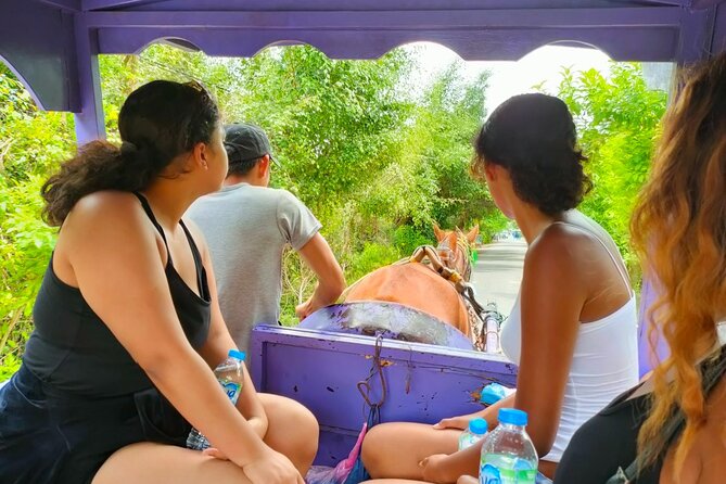 Mekong Delta Tour Daily - A one-day Mekong Delta taste plan from Ho Chi Minh City