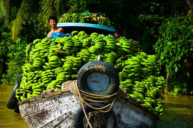 Mekong Delta Tour with Kayaking, Cycling and Cooking - Family Garden in Long An: cycling, dragon fruit, and real farm life