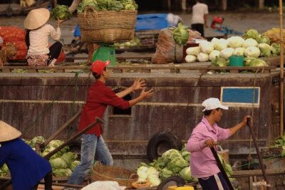 Mekong Delta Trip To Cai Be - Tan Phong Island With Lunch - Pickup, timing, and keeping the morning from turning chaotic