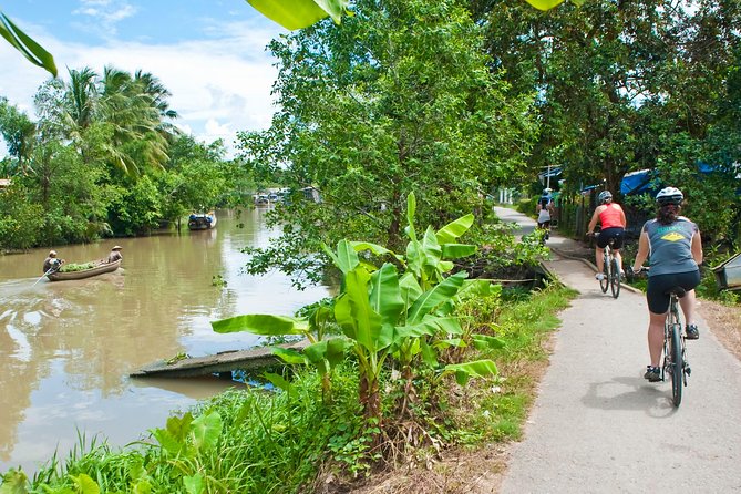 Mekong Delta VIP Tour - Transportation by Limousine - Price and Logistics: Is the $49 VIP Value Real?