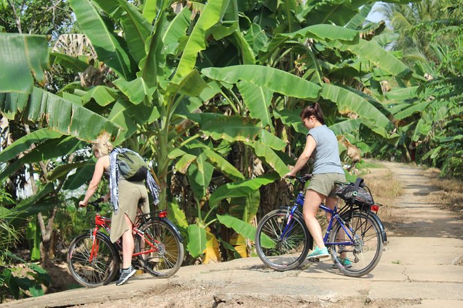Non Touristy - Mekong Delta 1 Day With Biking - Getting There From Ho Chi Minh City: 8:00 AM Pickup And A Real Time Budget